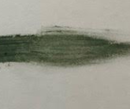 016 Grey green λαδοπαστέλ Sennelier